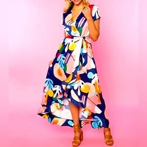 CROSBY by Mollie Burch Fiore Matisse Dress
